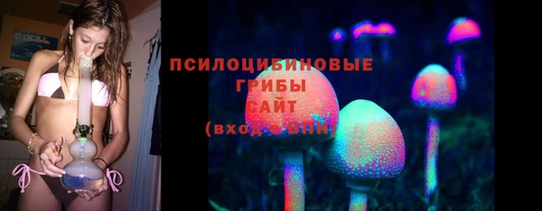спиды Алексин