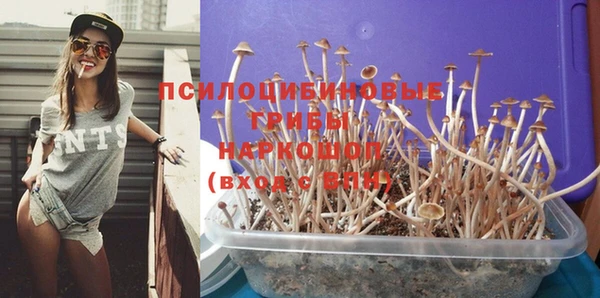 бутират Алзамай