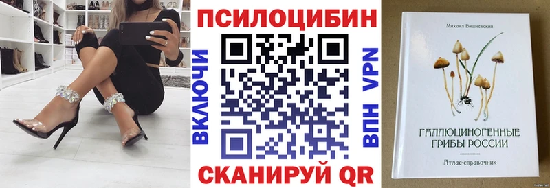 блэк спрут ссылки  наркотики  Нестеров  Галлюциногенные грибы GOLDEN TEACHER 